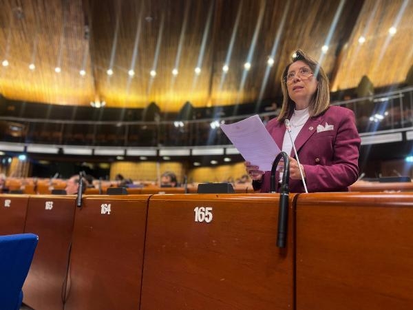Milletvekili Günay, Avrupa Konseyi Parlamenter Meclisi’ne hitap etti: Göz yummak teşvik etmektir