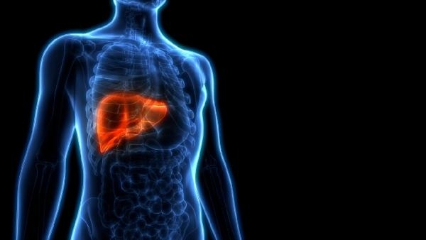 Prof. Dr. Yaprak: Karaciğer yağlanması, demans riskini artırıyor