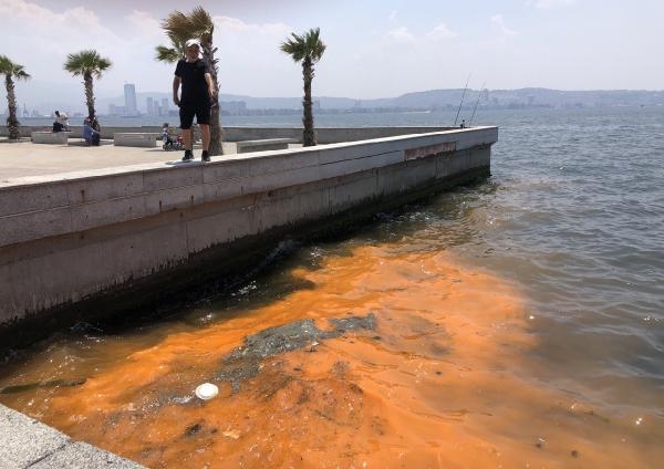 İzmir Körfezi'nde 'kırmızı- turuncu renk' uyarısı