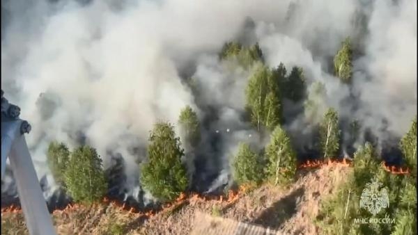 Rusya’da orman yangını