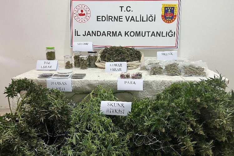 Edirne Jandarması'ndan uyuşturucu operasyonu
