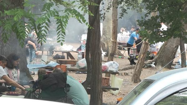 Orman Bölge Müdürü Pir: Yasaklar yangınları yüzde 70 azalttı 