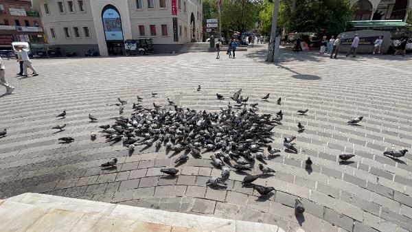 Bursalılar uyarıları dikkate aldı, meydan güvercinlere kaldı