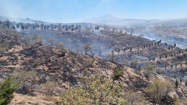 Aksaray'da ot yangını ormana sıçradı, 5 bin fidan yandı