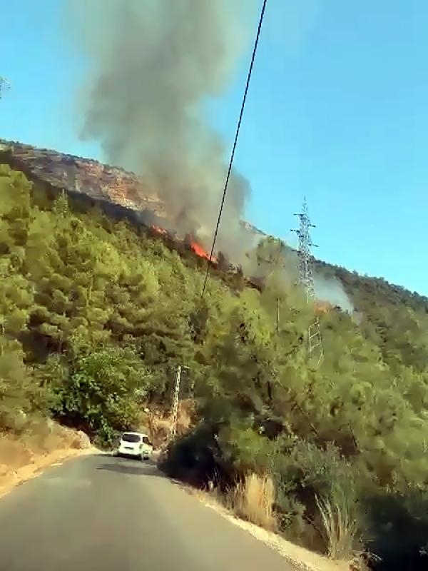 Mersin'deki orman yangınında 2,5 hektar alan zarar gördü, çıkış sebebi araştırılıyor