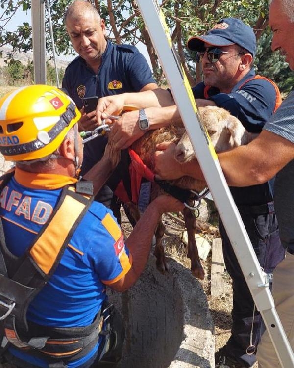 20 metrelik kuyuya düşen keçi, halatla kurtarıldı