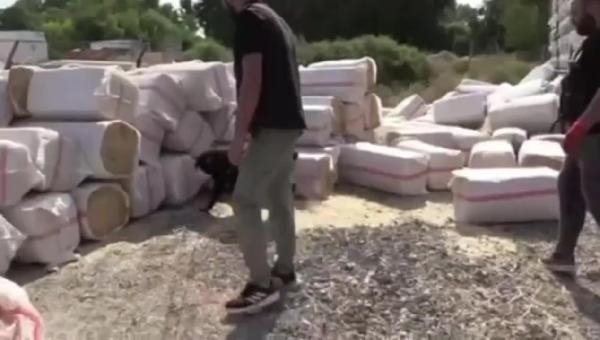 Bakan Yerlikaya: Mersin ve Diyarbakır'da 389 kilogram uyuşturucu ele geçirildi