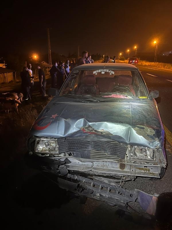 Otomobil sürüye çarptı:  4 kişi yaralandı, 7 koyun öldü 