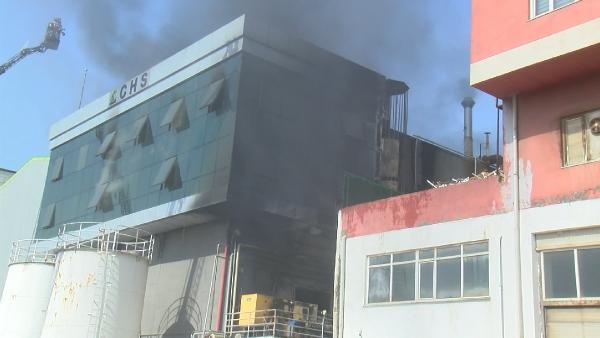 Geniş haber // Tuzla'da endüstriyel yağ üretimi yapan fabrikada yangın 