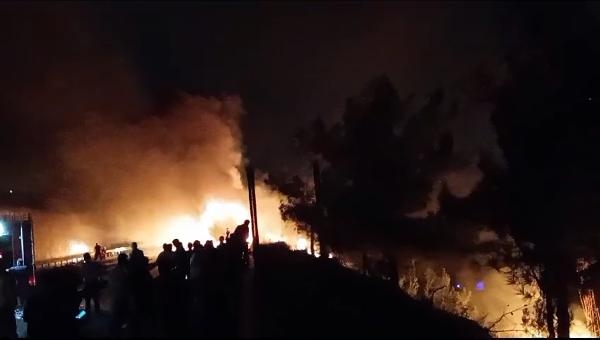 Otoyolda yanan TIR'daki alevler ormana sıçradı